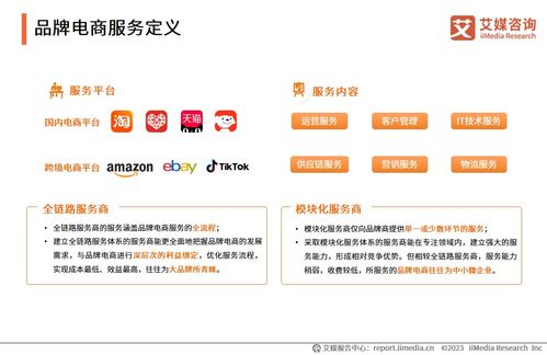 2023年中國品牌電商服務行業研究報告 信息咨詢服務的價值重塑與發展洞察